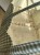 IMG_9383.jpeg