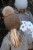 IMG_8512.jpeg